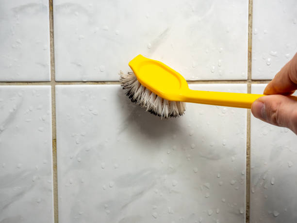 Trusted Butler, MO Mold Removal Experts